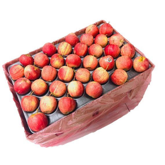 Gala Apples south Africa /Carton