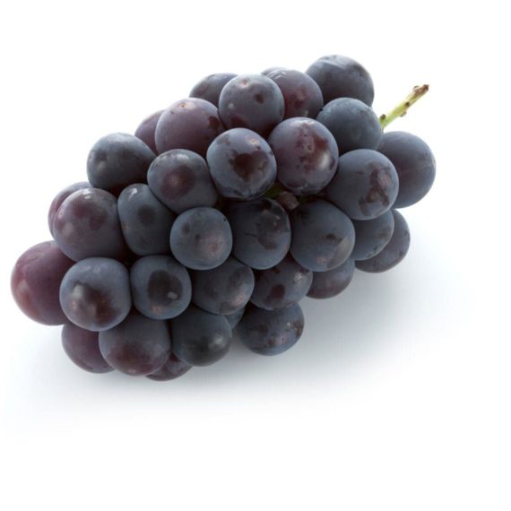 Grapes Black CHILE New-Pack