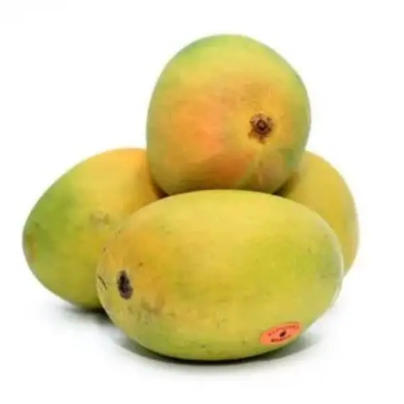 Mangoes Alphonso India 1Kg – Sweet tropical mangoes