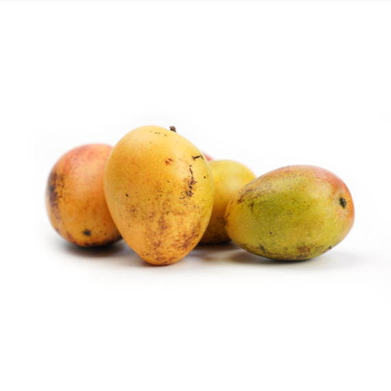 Baby Mangoes from Colombia – Sweet, Petite & Irresistible! Discover the delightful Baby Mangoes from Colombia—a miniature version of the classic mango, packed with intense sweetness, vibrant flavor, and a juicy bite. These tiny tropical gems are perfect for snacking, gourmet dishes, and exotic fruit lovers!