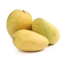 ✔ Rich & Aromatic – Sweet, creamy, and slightly tangy with a heavenly fragrance