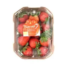 Strawberries SPAIN-Pack